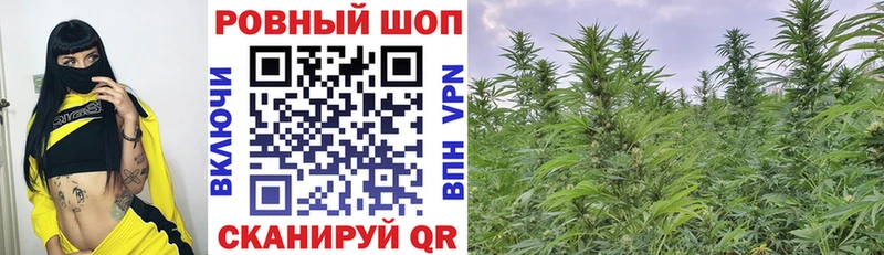 Каннабис Новотроицк