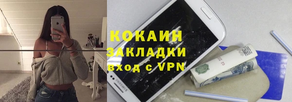 дмт Богданович