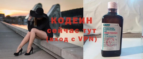 прущие грибы Богородск