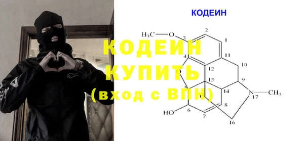 дмт Богданович