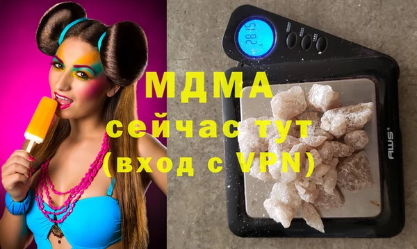 дмт Богданович
