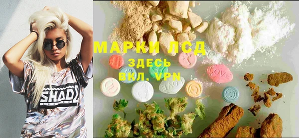 дмт Богданович
