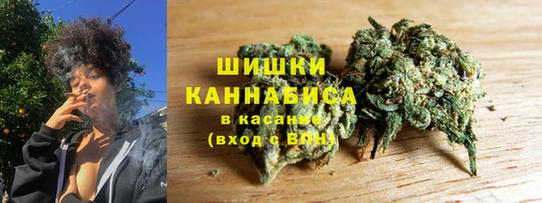 дмт Богданович