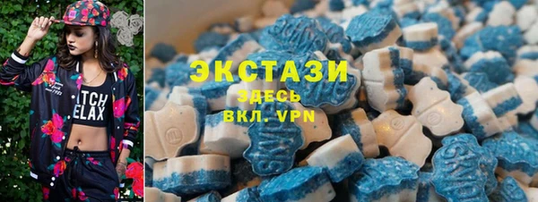 дмт Богданович