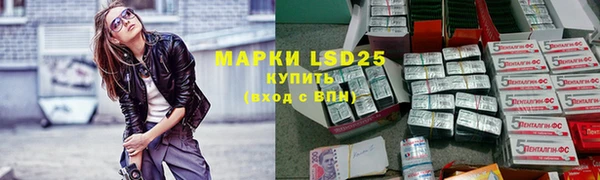 прущие грибы Богородск