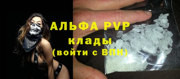 дмт Богданович