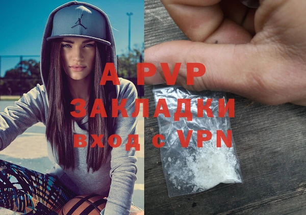 дмт Богданович