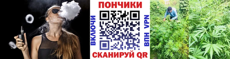 Бошки марихуана White Widow  Новотроицк 
